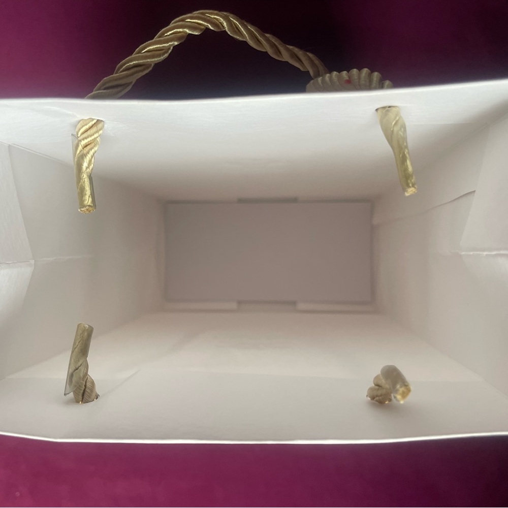 🚨 SOLD 🚨 Luxury bags - Assorted - Picture 3 of 15